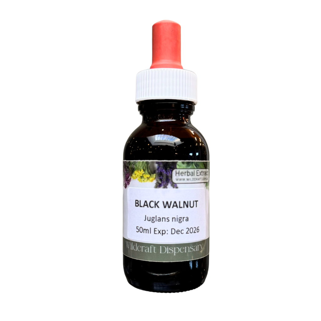 BLACK WALNUT 50ml Extract / Tincture Herbal Liquid – Wildcraft