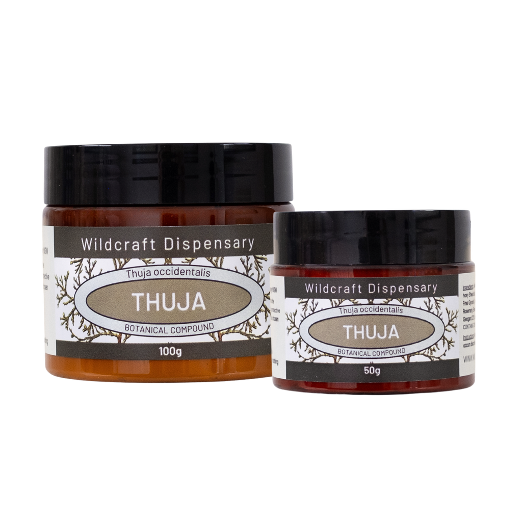 Wildcraft THUJA HERBAL OINTMENT for Warts, Fungal Skin, and Persistent –  Wildcraft Dispensary