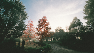 Season changes affect your body more than you think