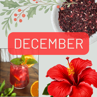 December Brewsletter: A Summer Christmas with Hibiscus