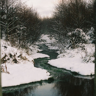 The Winter Apothecary