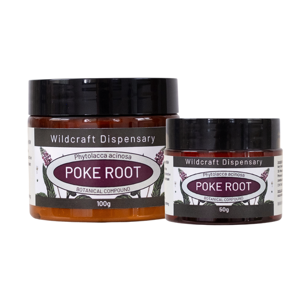 POKE ROOT HERBAL OINTMENT for Swelling and Lymphatic Support