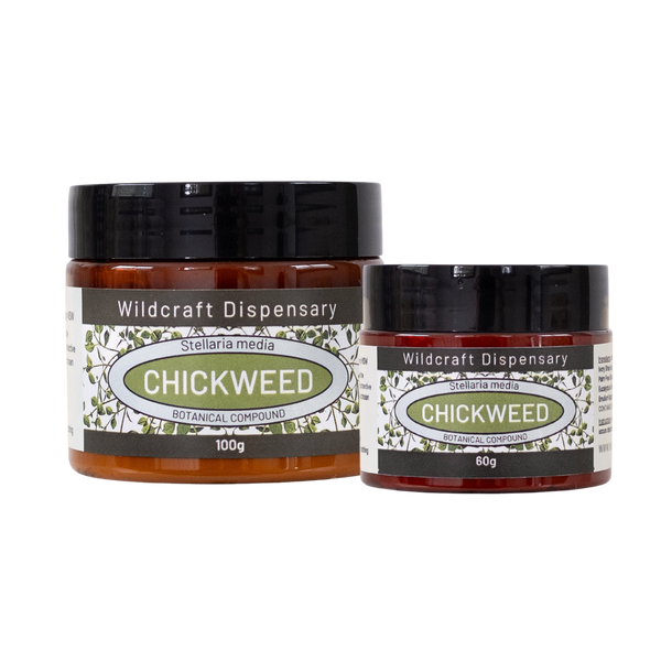 CHICKWEED HERBAL OINTMENT for Eczema Prone and Itchy Skin