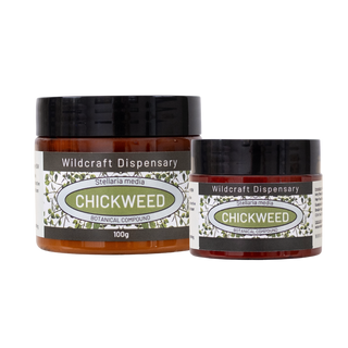 Wildcraft CHICKWEED HERBAL OINTMENT for Eczema Prone and Itchy Skin