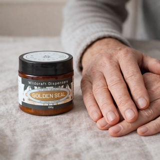 Wildcraft GOLDEN SEAL HERBAL OINTMENT for Cracked, Sensitive, and Slow Healing Skin