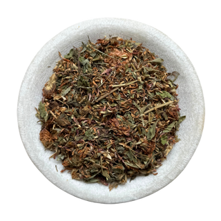 RED CLOVER PREMIUM HARVEST 50g Trifolium pratense