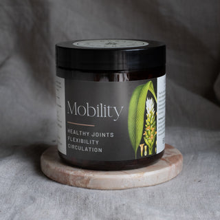 MOBILITY HERB TEA - MUSCLE & JOINT