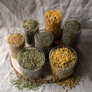 Glass containers filled with various dried herbs on a textured surface