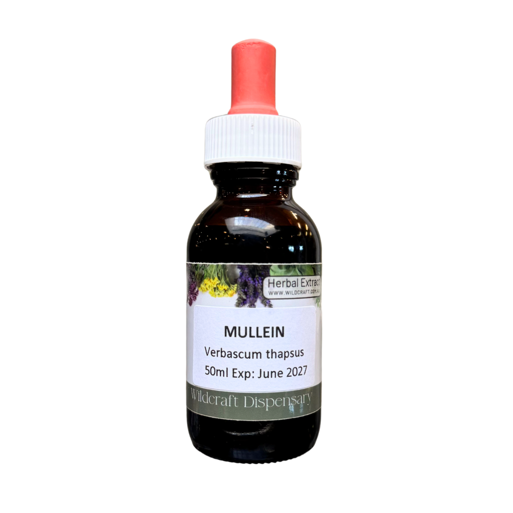 MULLEIN 50ml Extract / Tincture Herbal Liquid – Wildcraft Dispensary