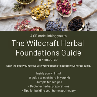 The Herbal Foundations Kit