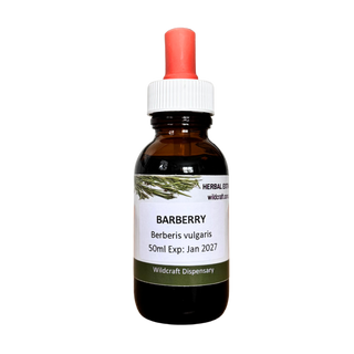 BARBERRY 50ml Extract / Tincture Herbal Liquid