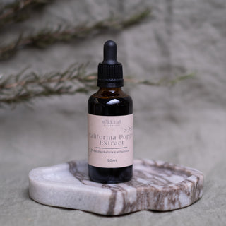 CALIFORNIA POPPY 50ml Extract / Tincture Herbal Liquid