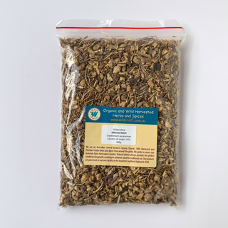 GRAVEL ROOT WILDHARVESTED 200g Eupatorium purpureum image 0