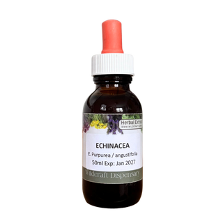 ECHINACEA 50ml Extract / Tincture Herbal Liquid