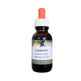 ELDERBERRY 50ml Extract / Tincture Herbal Liquid