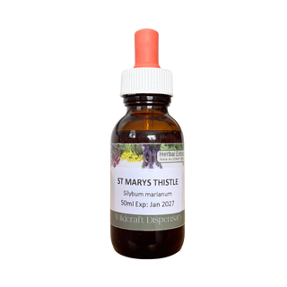 ST MARYS THISTLE 50ml Extract / Tincture Herbal Liquid