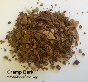Crampbark. Viburnum opulus. Dried Herbal Tea.