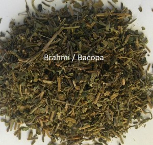 Brahmi / Bacopa - Bacopa monniera. Dried. Herbal Tea.