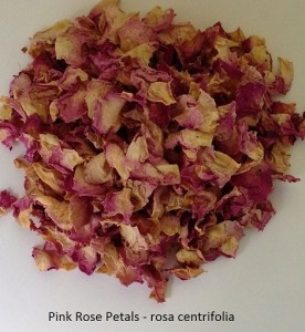 Pink Rose Petals - Rosa centrifolia. Dried Flowers.