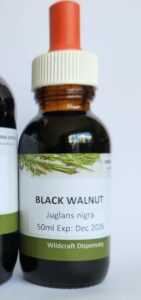 BLACK WALNUT 50ml Liquid Herbal Extract