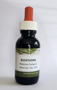 Buckthorn Rhamnus frangula 50ml
